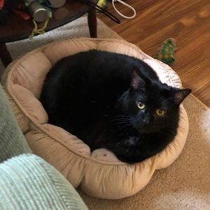 Meet your Posher, Lyris